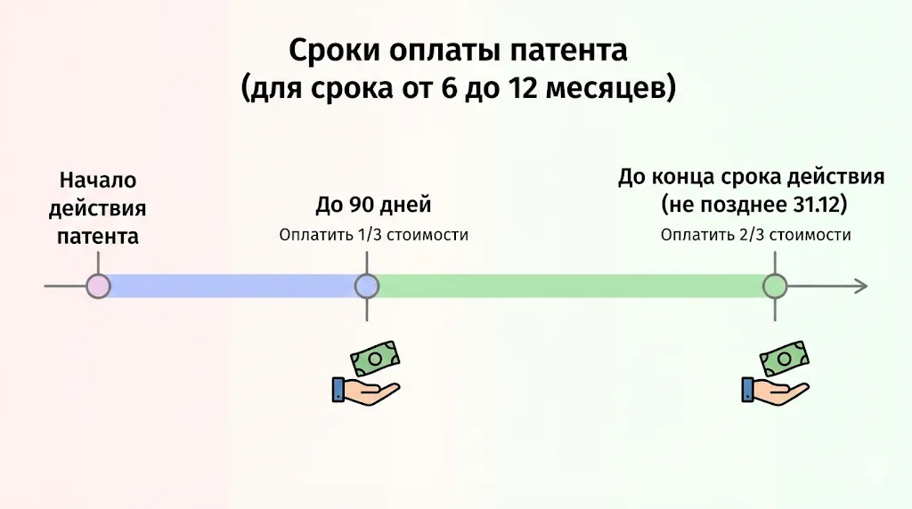 Таймлайн со сроками оплаты патента